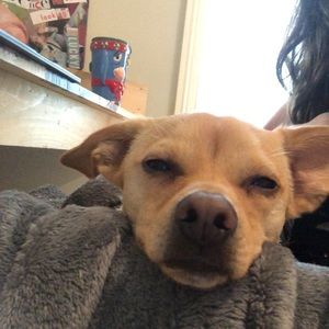 Meet your Posher, Cadence